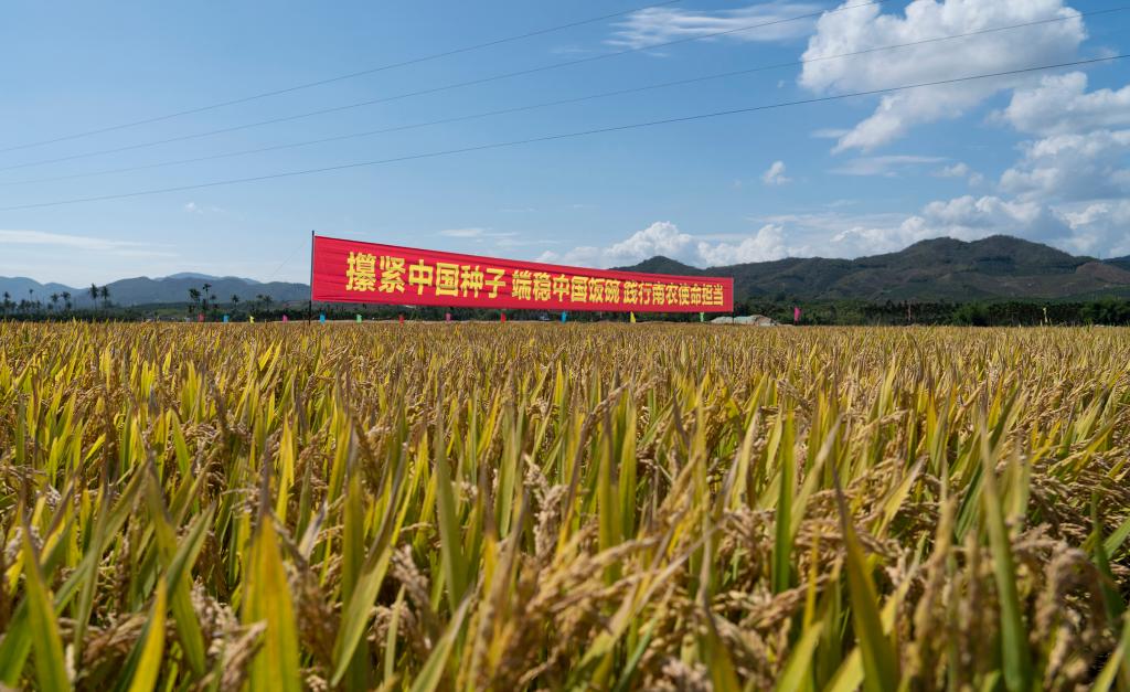 世俱杯官方平台